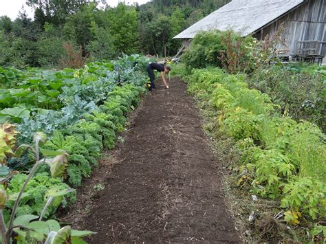 Garden Tilling | Pro Tilling & Hydroseeding