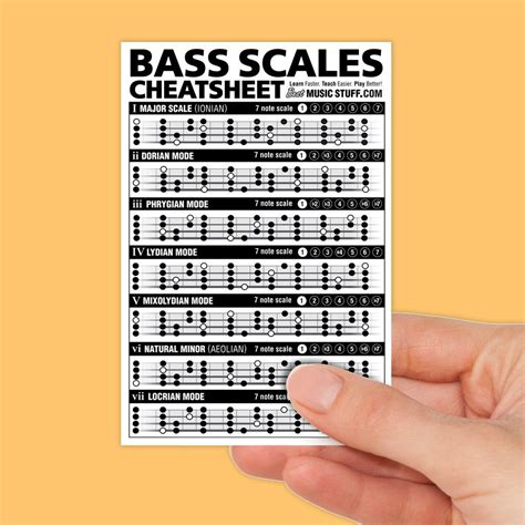 Bass Scales Cheatsheet Pocket Reference (Laminated & Double Sided) 4"x6 ...