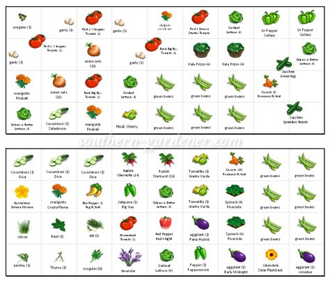 Square Foot Vegetable Garden Planner - Hobby Granding