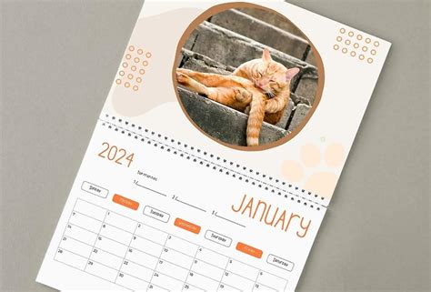 Funny Cat Calendar 2024, 2024 Calendar Cat's Bottoms, Cat Balls ...