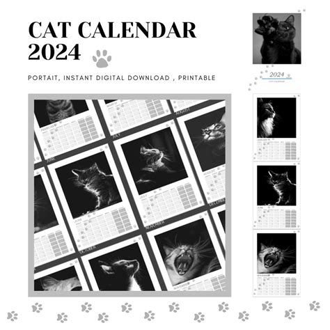 CAT CALENDAR 2024 PRINTABLE - Etsy