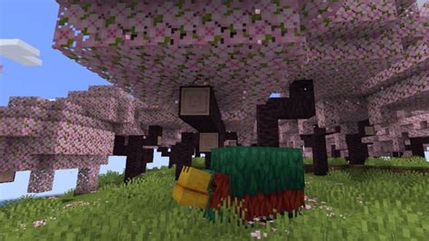 Minecraft gets a Cherry Blossom biome in update 1.20 - Video Games on ...