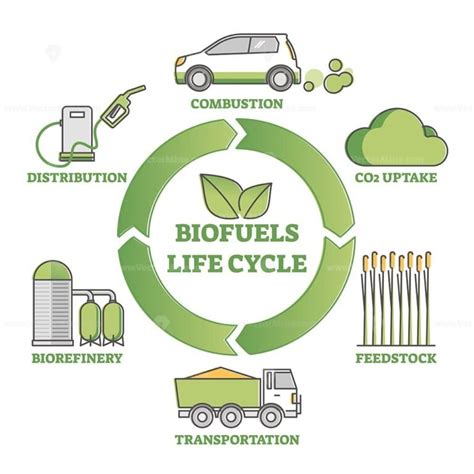 Biofuel life cycle diagram as production, consumption process outline ...