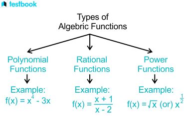 Algebraic Functions: Definition, Types, Properties with Examples