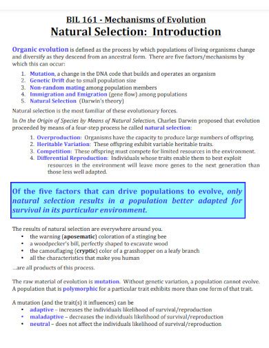 Natural Selection- Examples, PDF | Examples