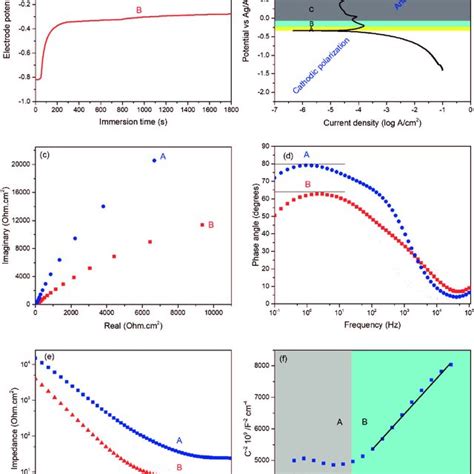 Illustration of the corrosion properties of metallic materials; (a ...