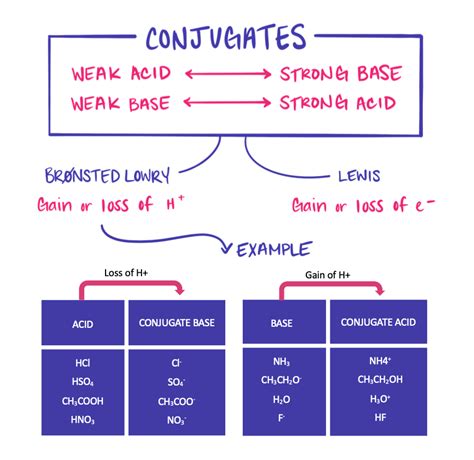 Conjugate Acid-Base Pairs — Overview & Examples - Expii