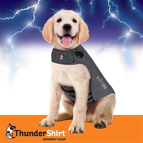 Amazon.com : Thundershirt Dog Anxiety Treatment - Gray (Medium ...