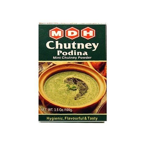 MDH Chutney Podina 100g – Evergreen Foods