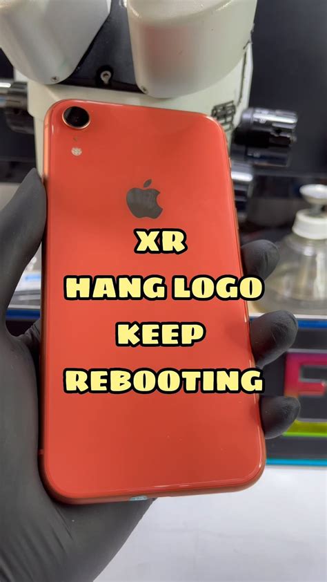 IPHONE XR APPLE LOGO REBOOTING. BATTERY KEMBUNG. SLOVED BY CHANGING ...