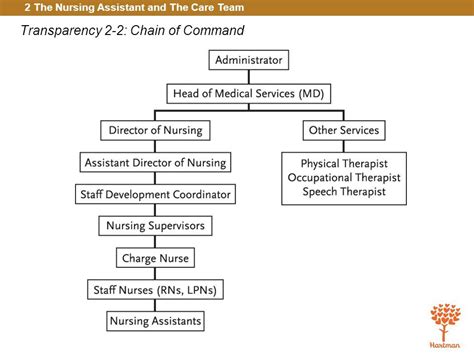 Nursing chain of command. If there is a conflict, use chain of command ...