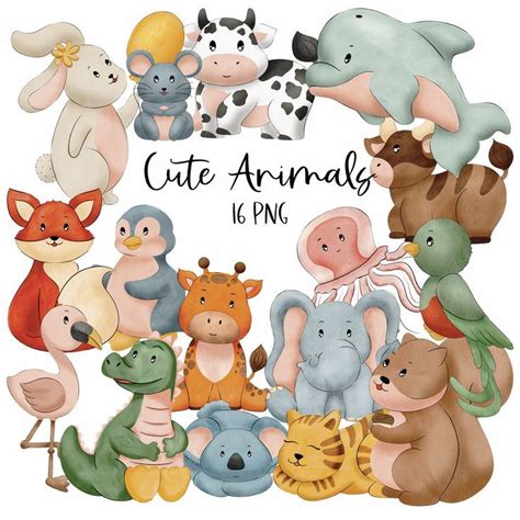 Cute Animal Clipart - Digital Illustrations