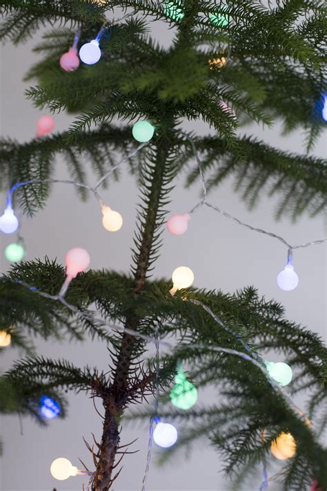 Photo of Colorful shining Christmas lights on a pine tree | Free ...