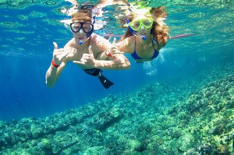 Cozumel El Cielo Sandbar And Reef Snorkeling Private Adventure with ...