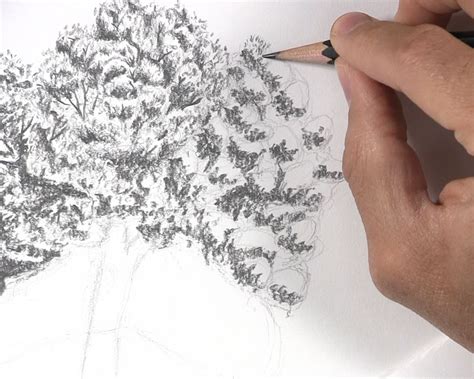 16+ Drawing Tree Leaves - DariRiyhan