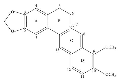 The molecular structure of berberine. | Download Scientific Diagram