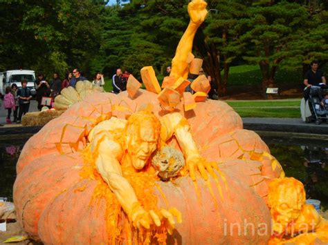 TeacherScribe: And the Largest Pumpkin Carving Ever