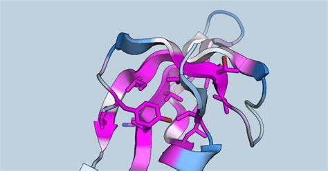 Protein folding stability set to be unravelled on a massive scale ...