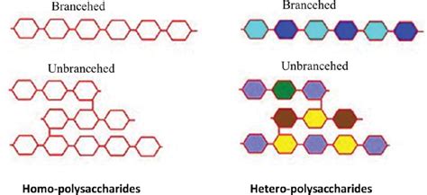 Two types of polysaccharides: Homo-polysaccharides and... | Download ...