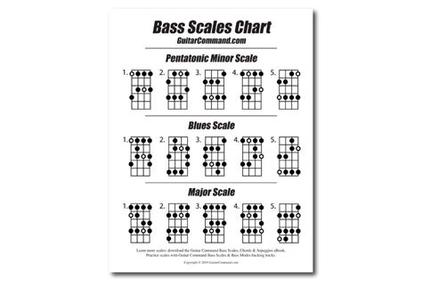 Guitar Scales Charts, Bass Guitar Scales, Learn Bass Guitar, Bass ...