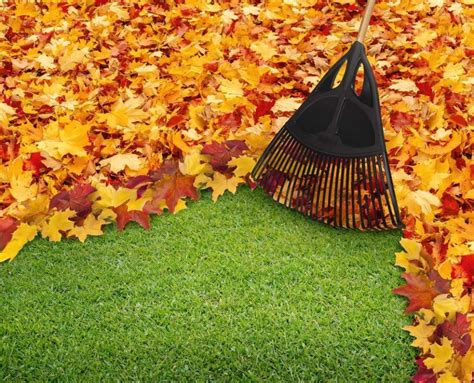 Fall Leaf Clean Up & More - TNT Landscaping & Excavation