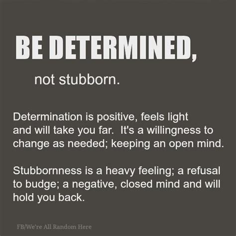 Quotes About Stubborn People. QuotesGram