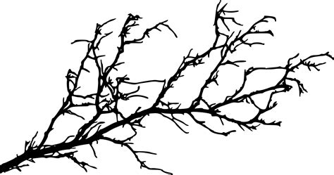 15 Tree Branch Silhouettes (PNG Transparent) | OnlyGFX.com