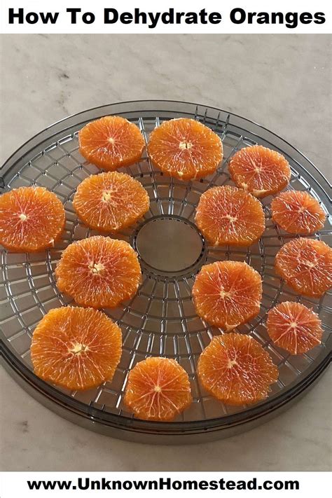 How To Dehydrate Oranges - Unknown Homestead