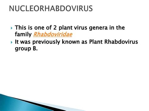 Rhabdoviridae ppt