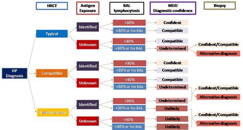 Hypersensitivity pneumonitis diagnostic algorithm. The diagnosis of HP ...