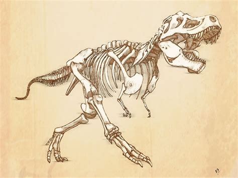 Tyrannosaurus rex Skeleton ~ Artwork ~ Carl Albrecht-Buehler ...