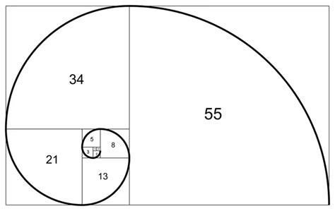 How are Fibonacci numbers expressed in nature? | HowStuffWorks The ...