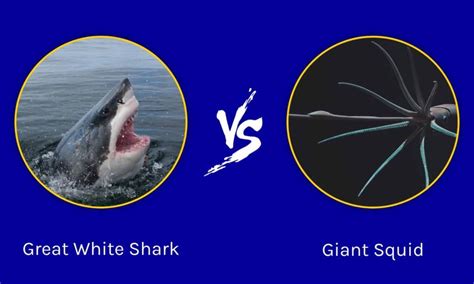 Epic Battles: Great White Shark vs Giant Squid