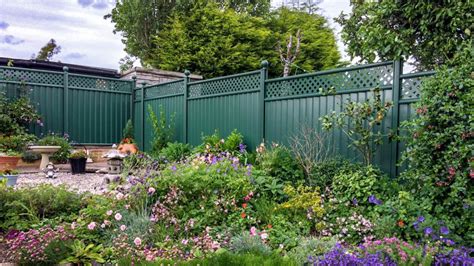 What color fence paint makes a garden look bigger? Experts reveal all ...