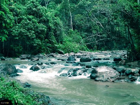 taman negara endau rompin chalet - KristintaroZhang