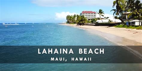 Lahaina Beach, Hawaii - Live Beaches