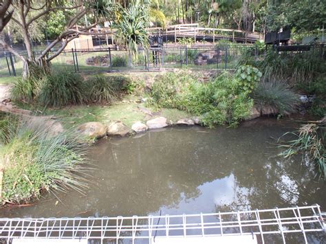 Part of Freshwater Crocodile Enclosure - ZooChat