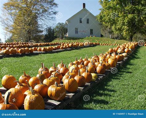 Autumn in Vermont stock image. Image of vacation, sightseeing - 1160497