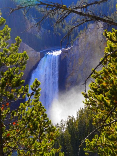 Upper Falls, Yellowstone. By: Jan Arnold | Yellowstone national park ...