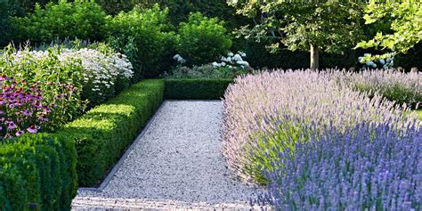 18 Best Edging Plants - Plants for Walkway Borders