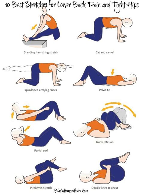 10 Best Stretches for Lower Back Pain and Tight Hips