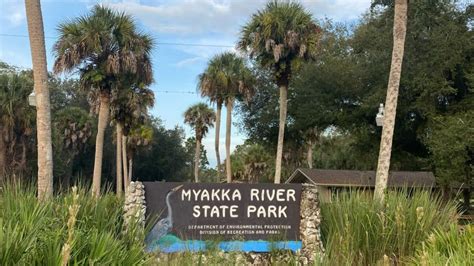 The Wildlife at Myakka River State Park in Florida Might Have You Too ...