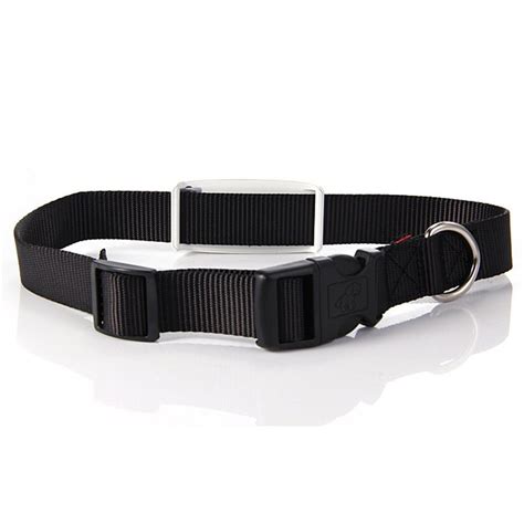 Gps Pet Collar Cat | Pets Animals US