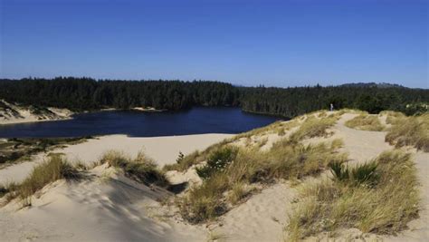 Oregon Dunes