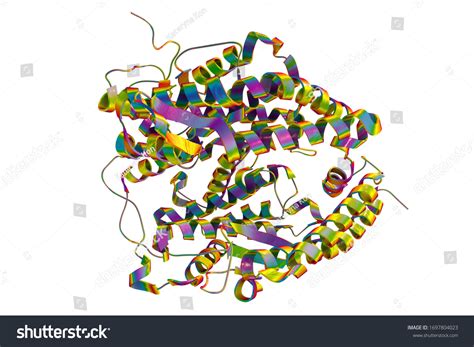 Human Ace2 Receptor 3d Illustration Angiotensin Stock Illustration ...