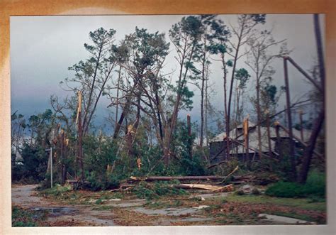 A Tidewater Gardener: Hurricane Hugo 1989