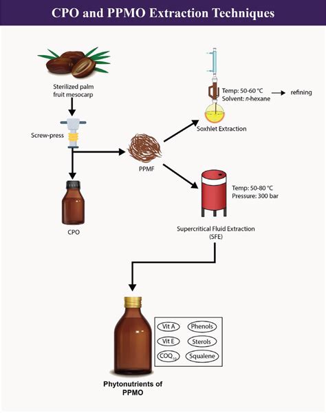 Extraction methods of Crude Palm Oil (CPO) and Palm‐pressed Mesocarp ...