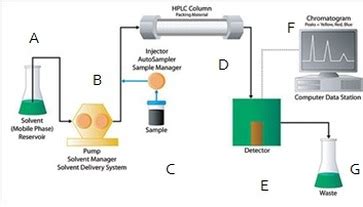 Instrumentation Of Hplc Diagram