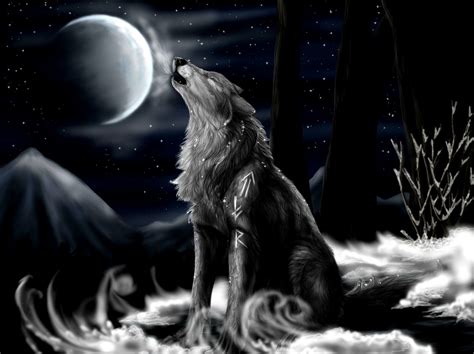 Smashing Show: 10 Latest Beautiful Wolf Dark HD Pictures