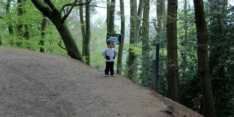 Gruffalo Trail - Delamere Forest - Mini Travellers - Family Travel ...